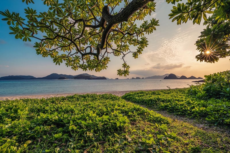 Sunset in Nature